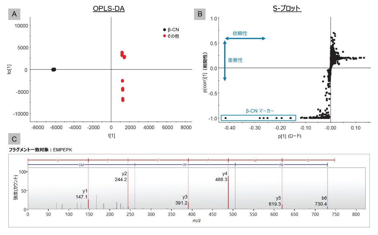 A. OPLS-DA スコアプロット、B. β-CN と他の 4 種のタンパク質を比較する S プロット、C. ペプチド EMPFPK の同定の例