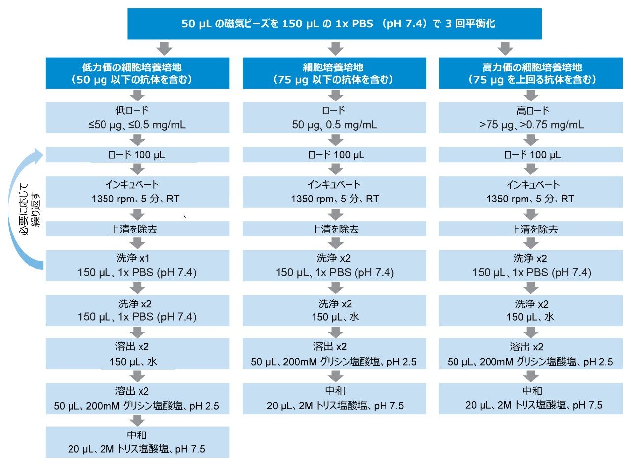 自動抗体精製手順のフロー図
