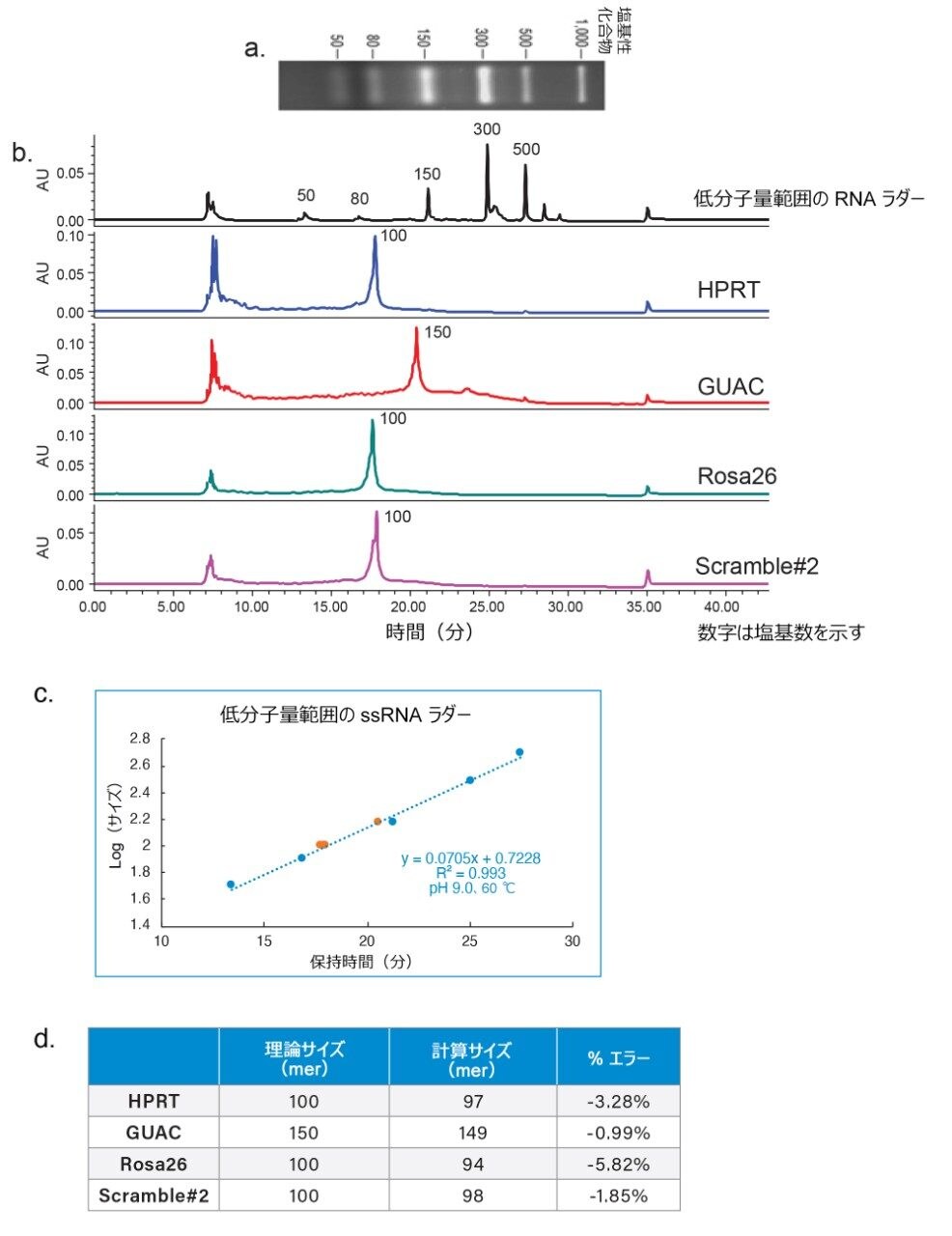 低分子量範囲の ssRNA ラダーのアガロースゲル分離