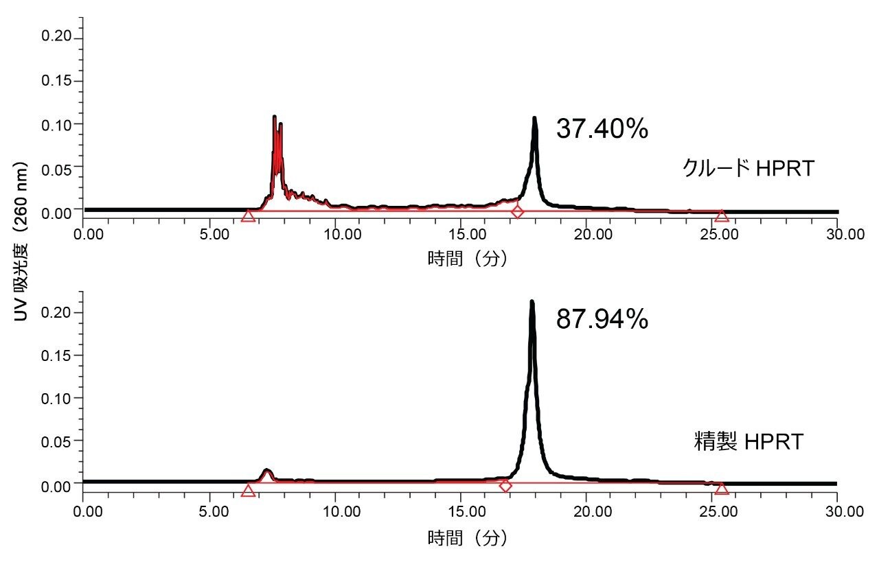 CRISPR/Cas 9 システムのクルード HPRT sgRNA および精製済み HPRT sgRNA を、Waters Protein-Pak Hi Res Q カラムで分離しました