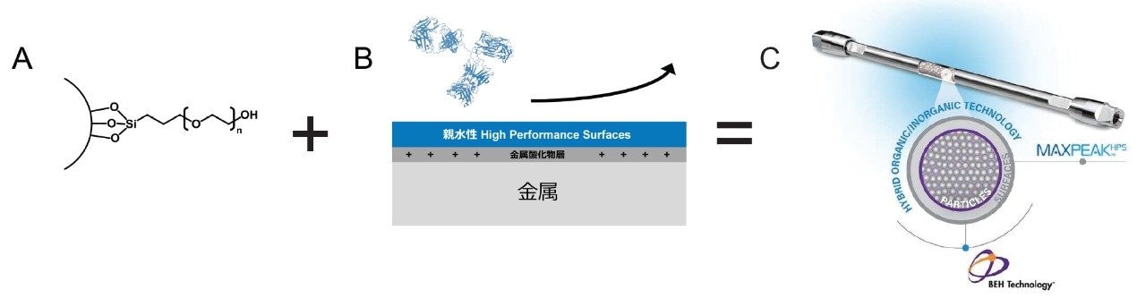 MaxPeak Premier Protein SEC 250 Å カラムテクノロジーの使用による、望ましくない二次的相互作用の低減