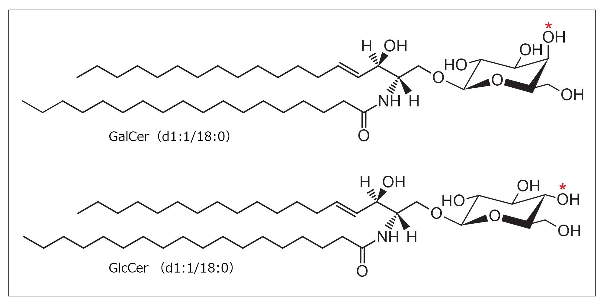 分析した GalCer と GlcCer 異性体の化学構造。C-4 位のヒドロキシル基の位置の違いが赤の * 印で示されています。