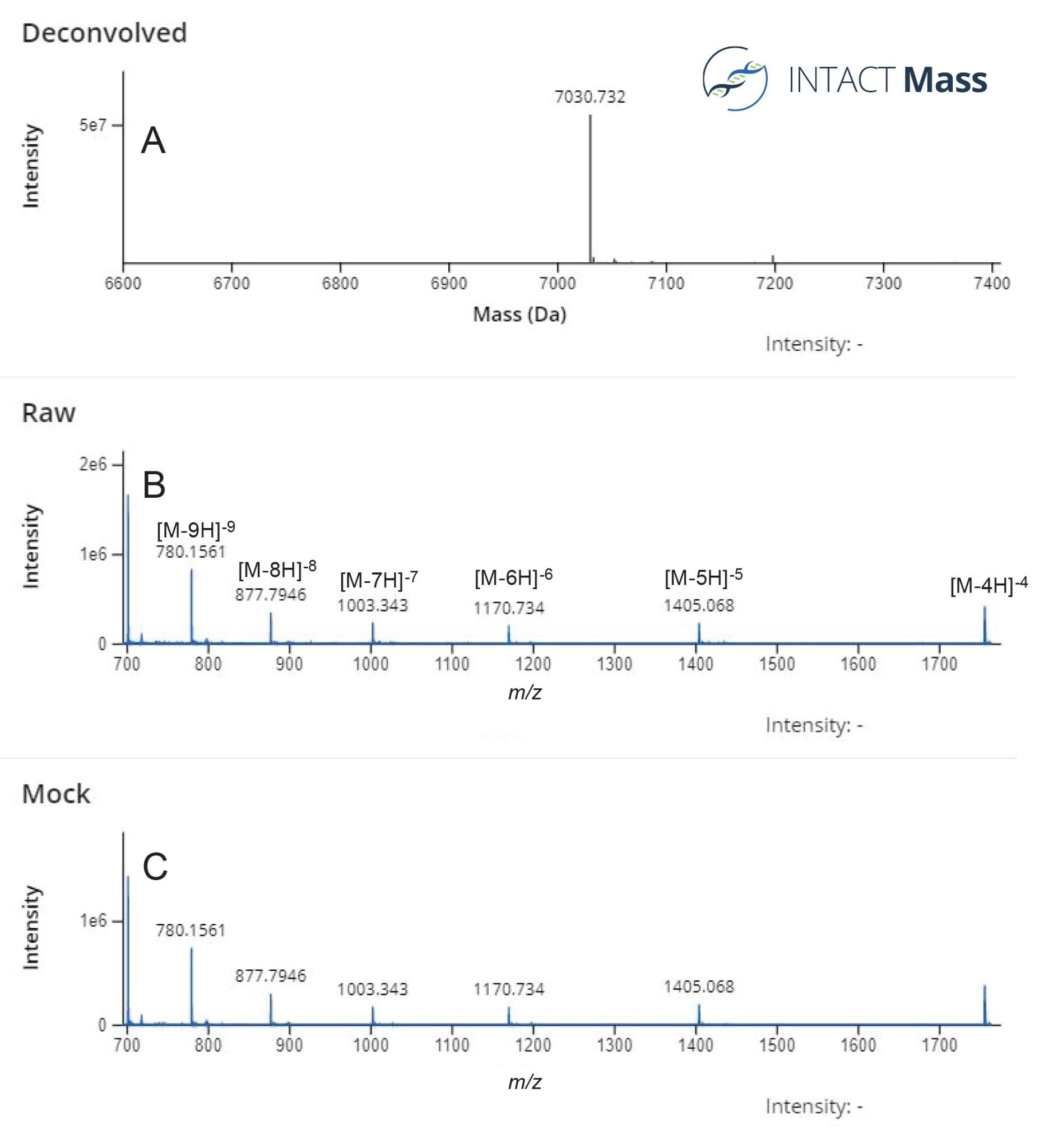 21 mer の siRNA オリゴヌクレオチドについて記録された INTACT Mass スペクトル