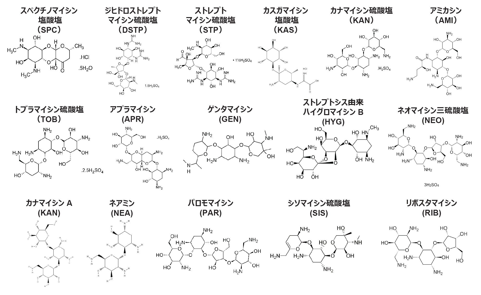 この試験で試験した 16 種のアミノグリコシド類の化学構造