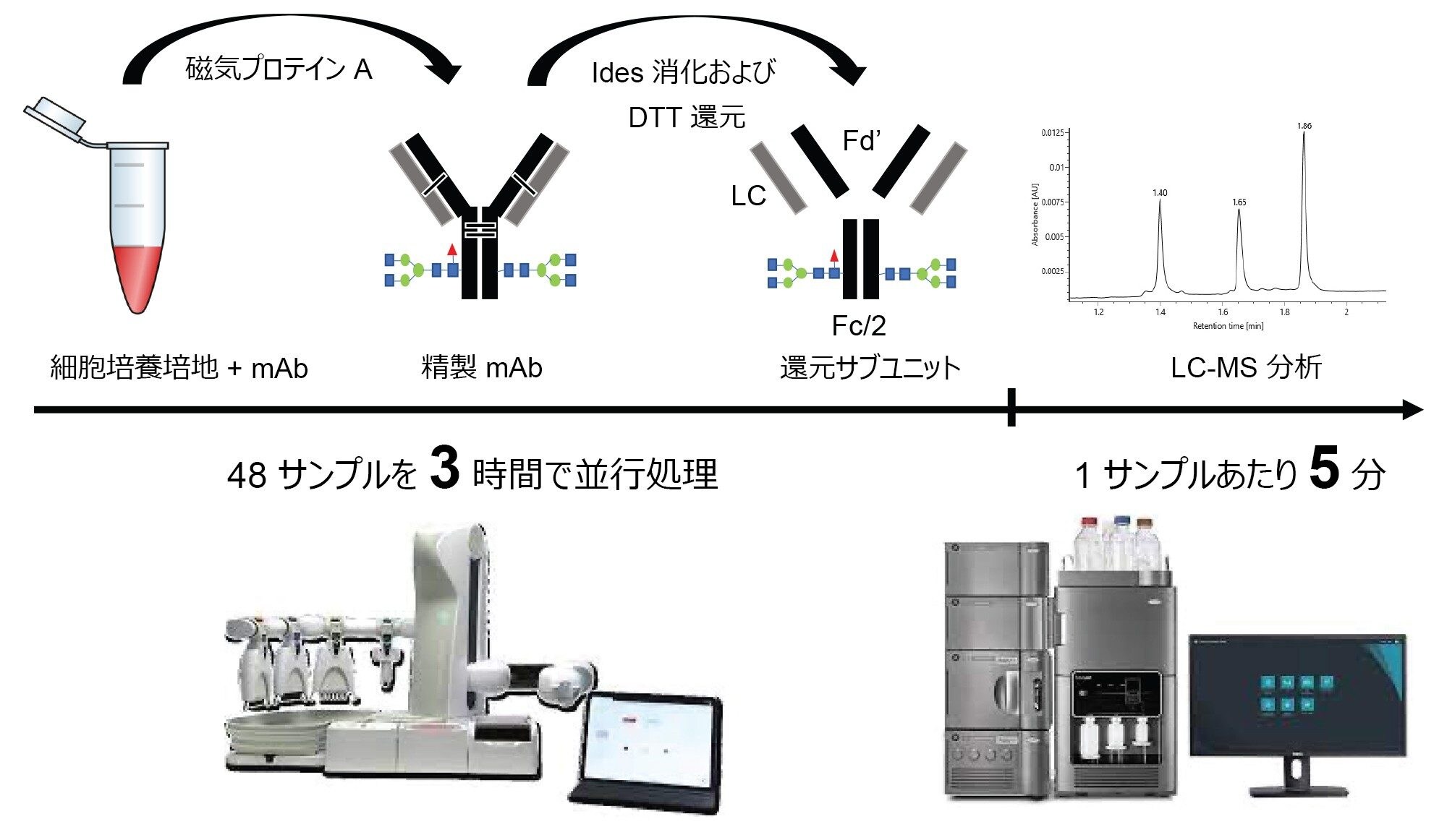 Andrew+ および Waters BioAccord システムを使用した迅速 LC-MS 分析による自動化した抗体精製および消化のワークフロー