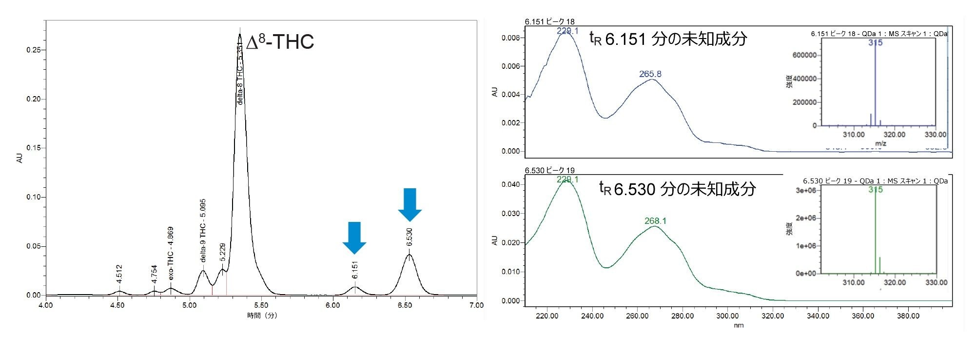 6.151 分と 6.530 分の未知成分の UV スペクトル（右）と質量スペクトル（右挿入図）の比較
