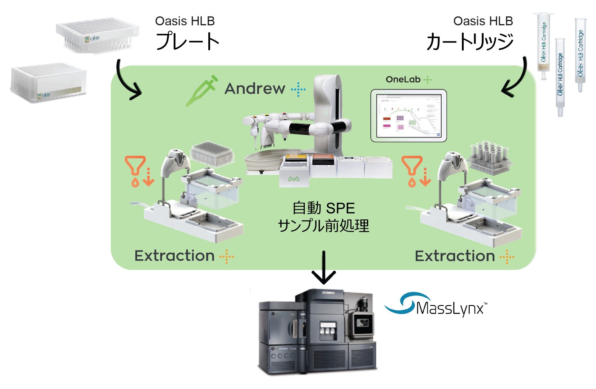 自動 SPE サンプル抽出および LC-MS 分析ワークフローの図示