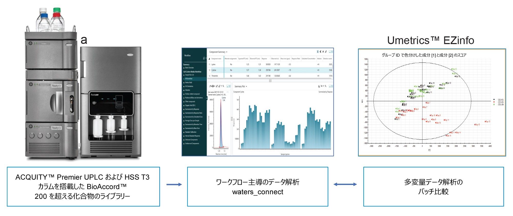 細胞培養培地の分析に用いる BioAccord システム/waters_connect™ に基づくワークフローの概略図