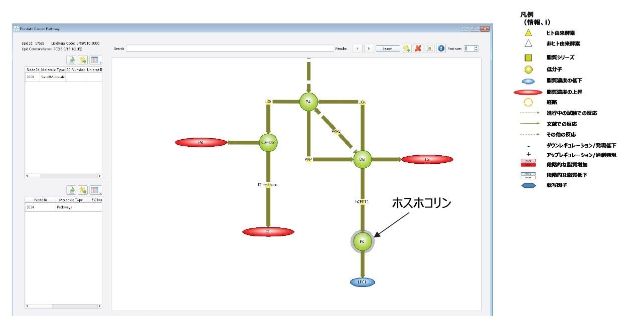 Lipostar の「Prostate Cancer」（前立腺がん）疾患マップに示されている代謝経路の一部。