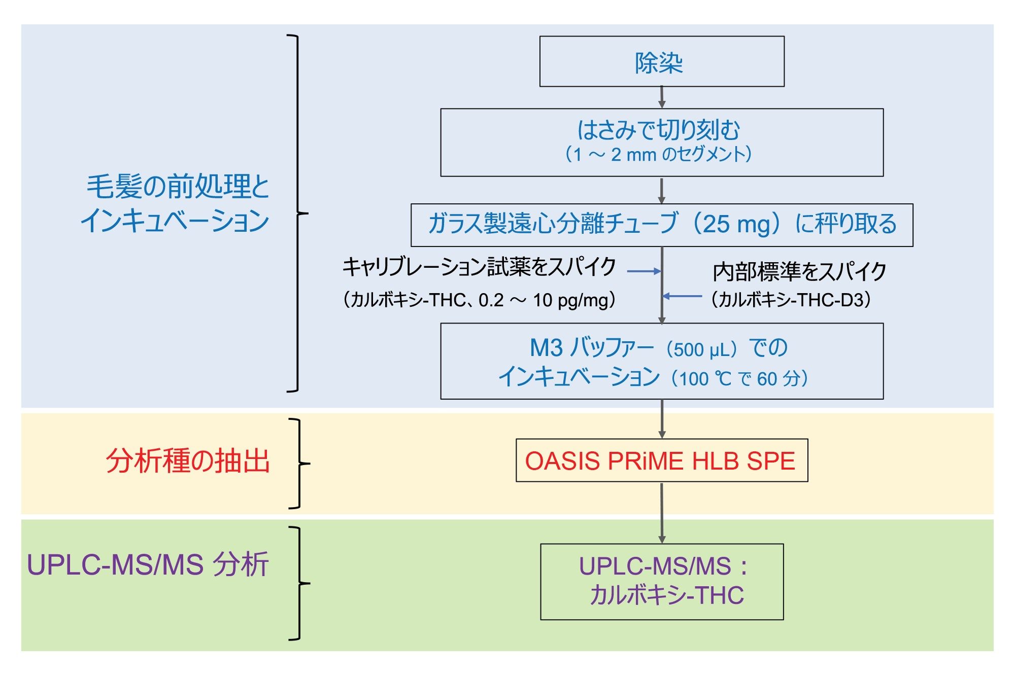 毛髪中のカルボキシ-THC の測定に使用したワークフロー