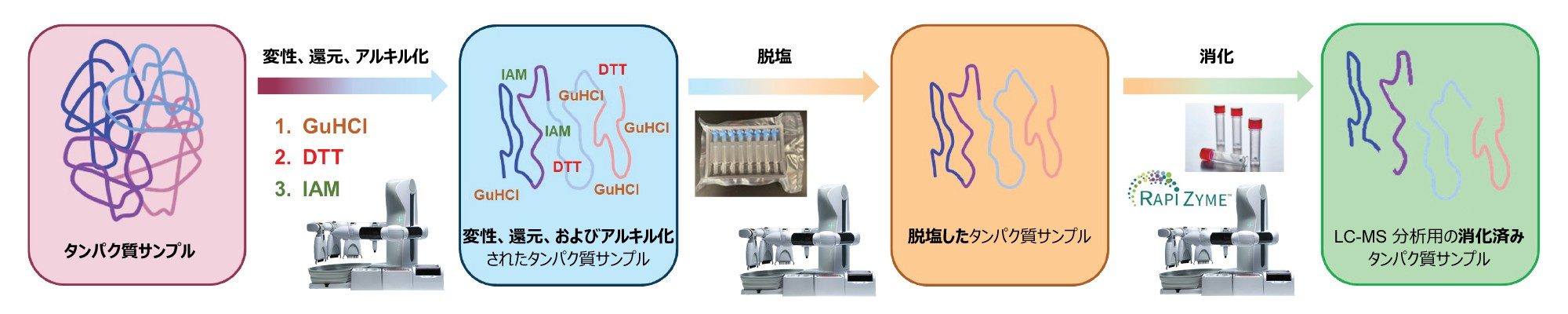 タンパク質トリプシン消化物の前処理ワークフロー