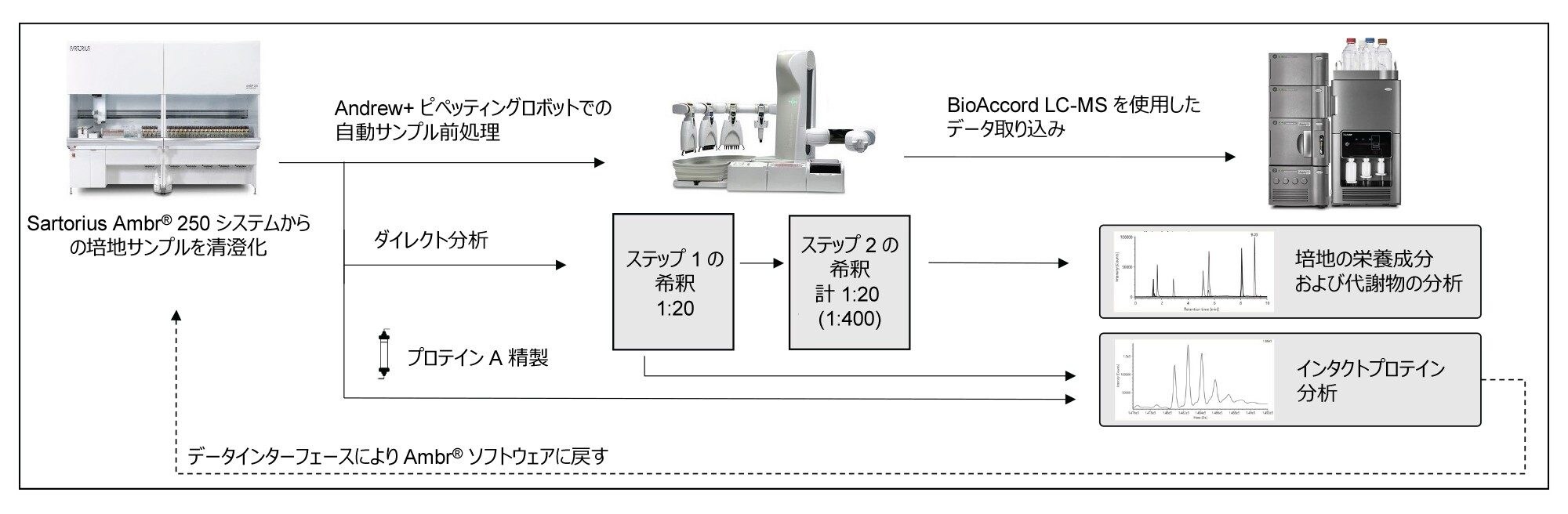 自動サンプル前処理および BioAccord LC-MS 分析の概略図