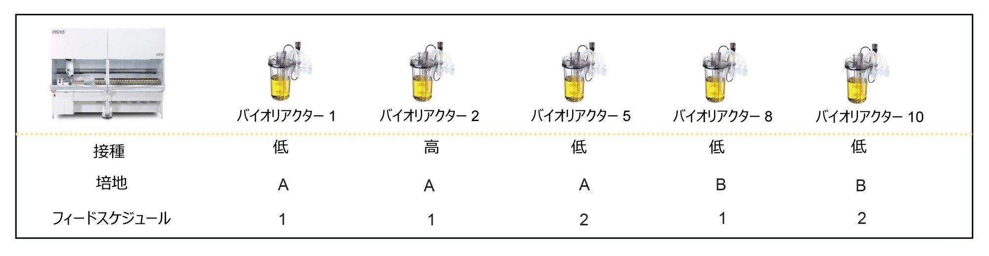 インタクトおよび培養培地モニタリング試験で採取したサンプルの実験条件のサマリー