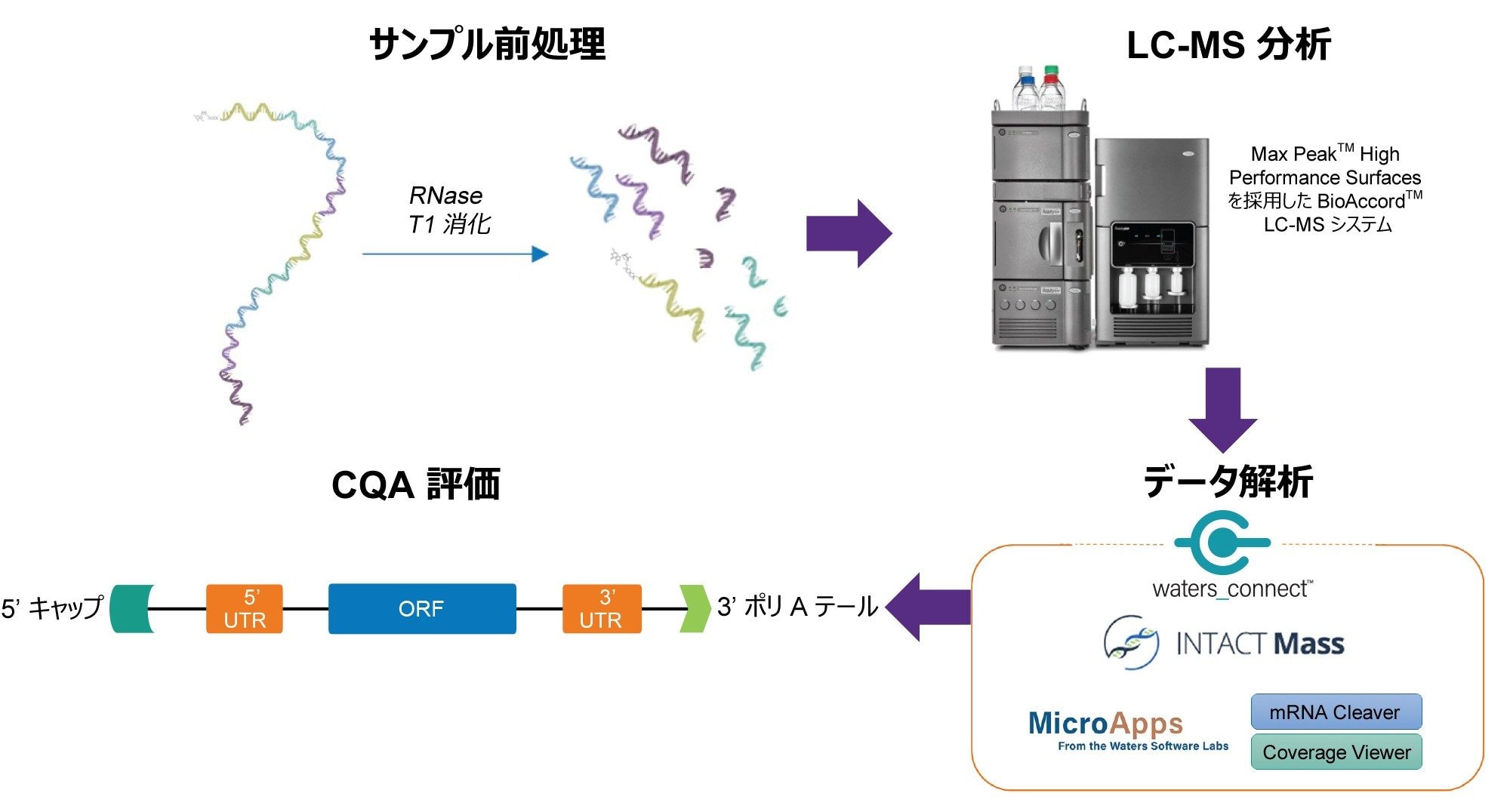 RNA の CQA の特性解析用ワークフローのスキーム