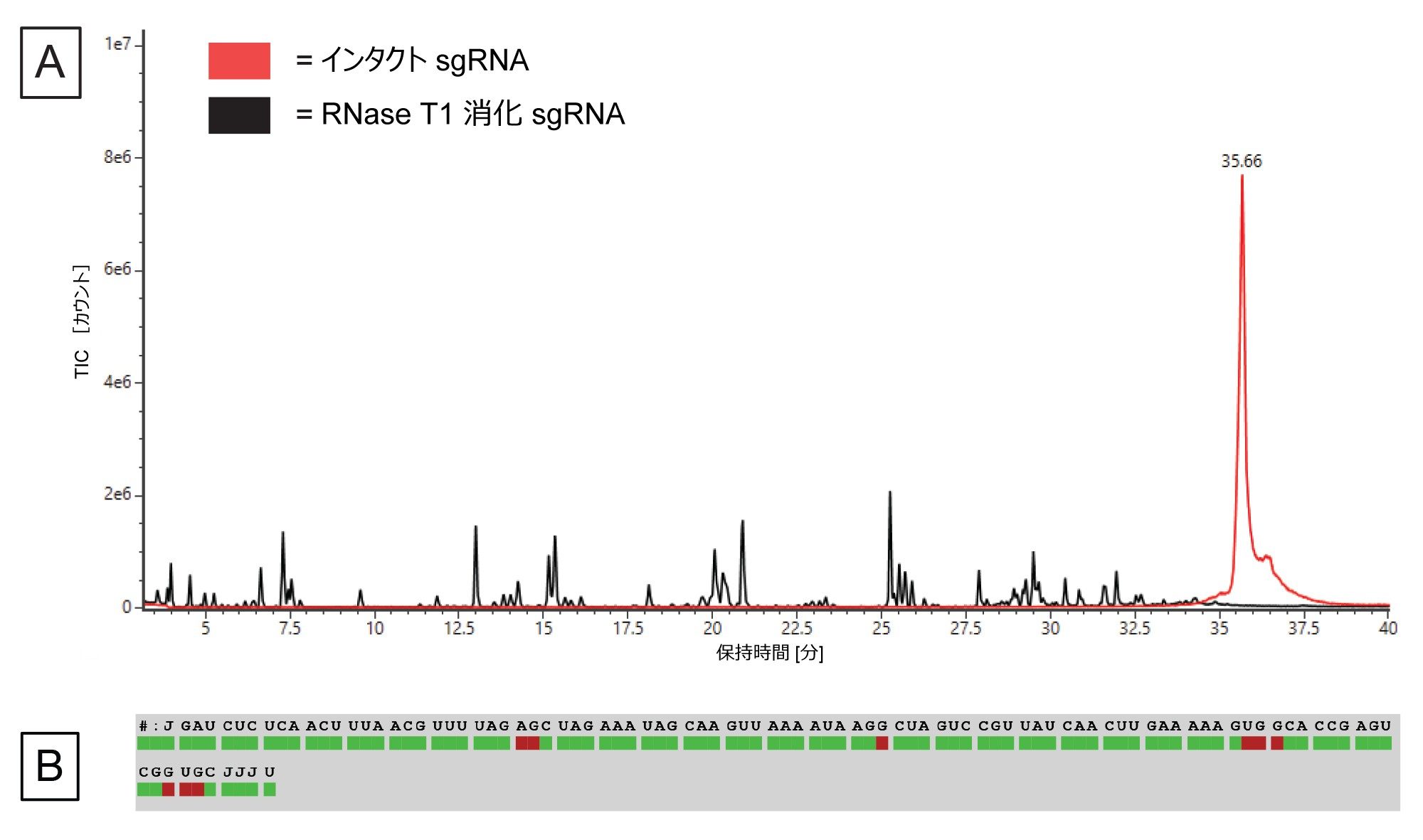 （A）消化済み sgRNA の TIC（黒色のトレース）および消化されていないインタクト sgRNA（赤色のトレース）の TIC。（B）Coverage Viewer アプリで視覚化した、LC-MS によって得られたシーケンスカバレッジ。