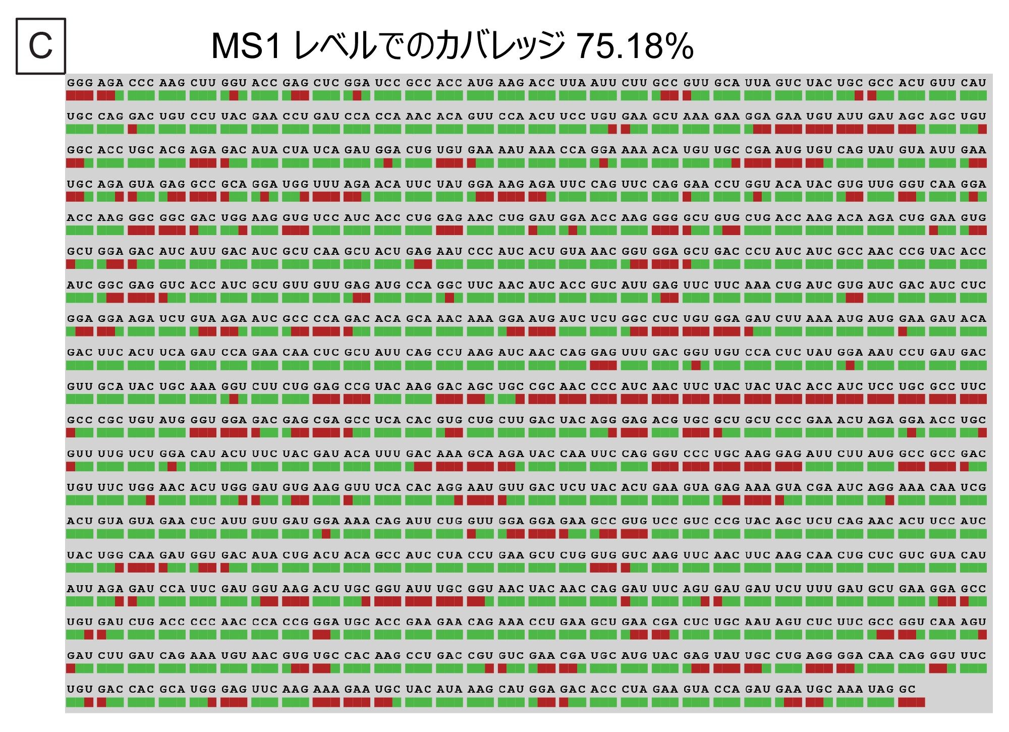 Coverage Viewer マイクロアプリで可視化した、MS1 によって可能になった全体的なシーケンスカバレッジ