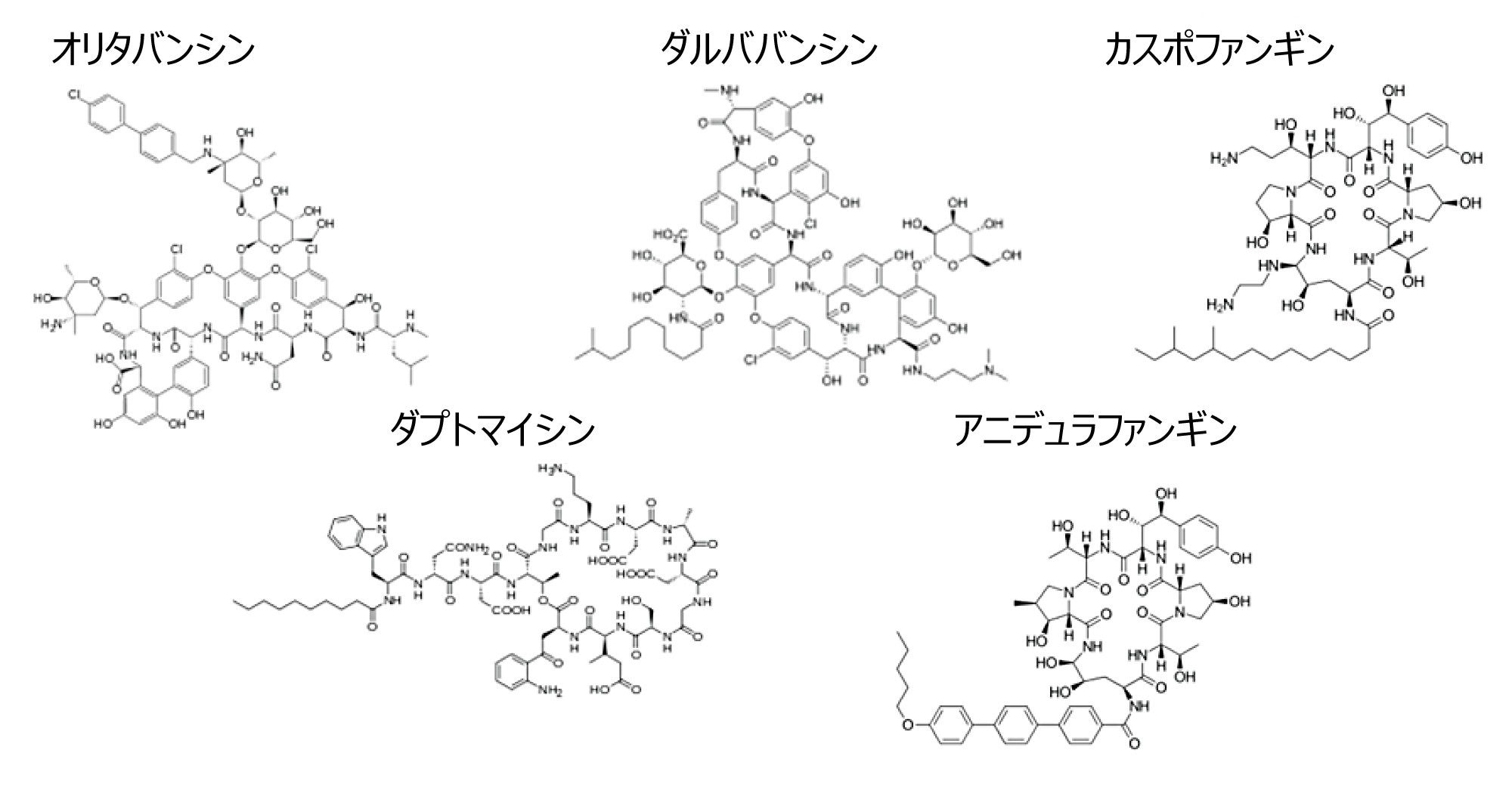 分析した 5 種類の API の名前と構造