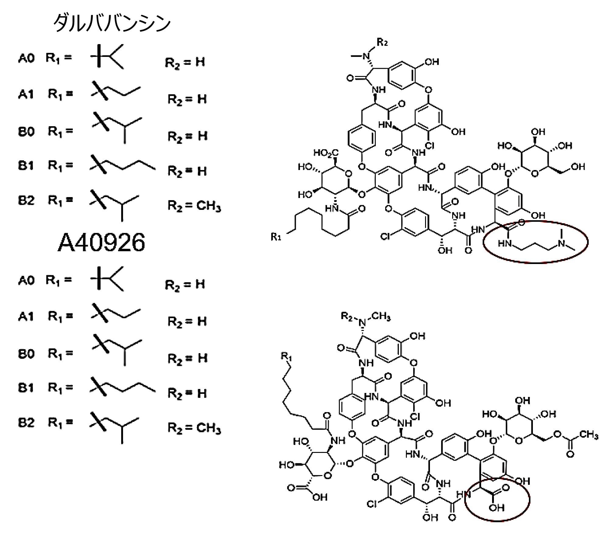 ダルババンシンと A40926 の構造。構造の違いを丸で囲んでいます。