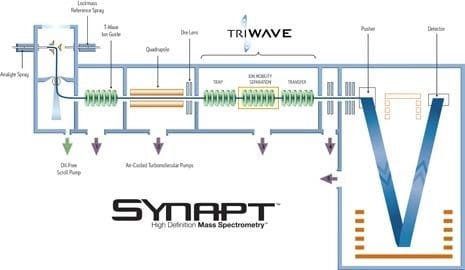 SYNAPT/TRIWAVE ワークフロー