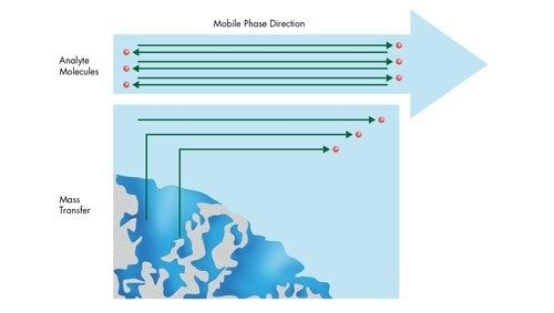 図 22：カラム内で起こっている拡散関連のプロセス。