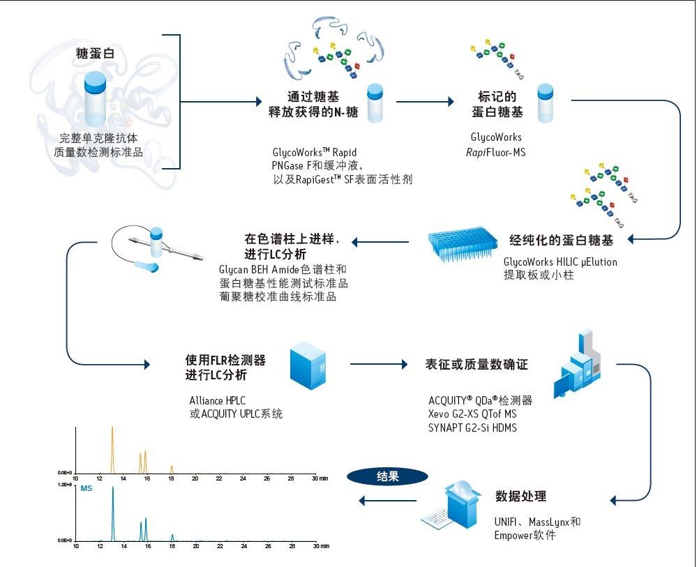 图6.使用RapiFluor-MS N-糖试剂盒快速制备N-糖的工作流程。