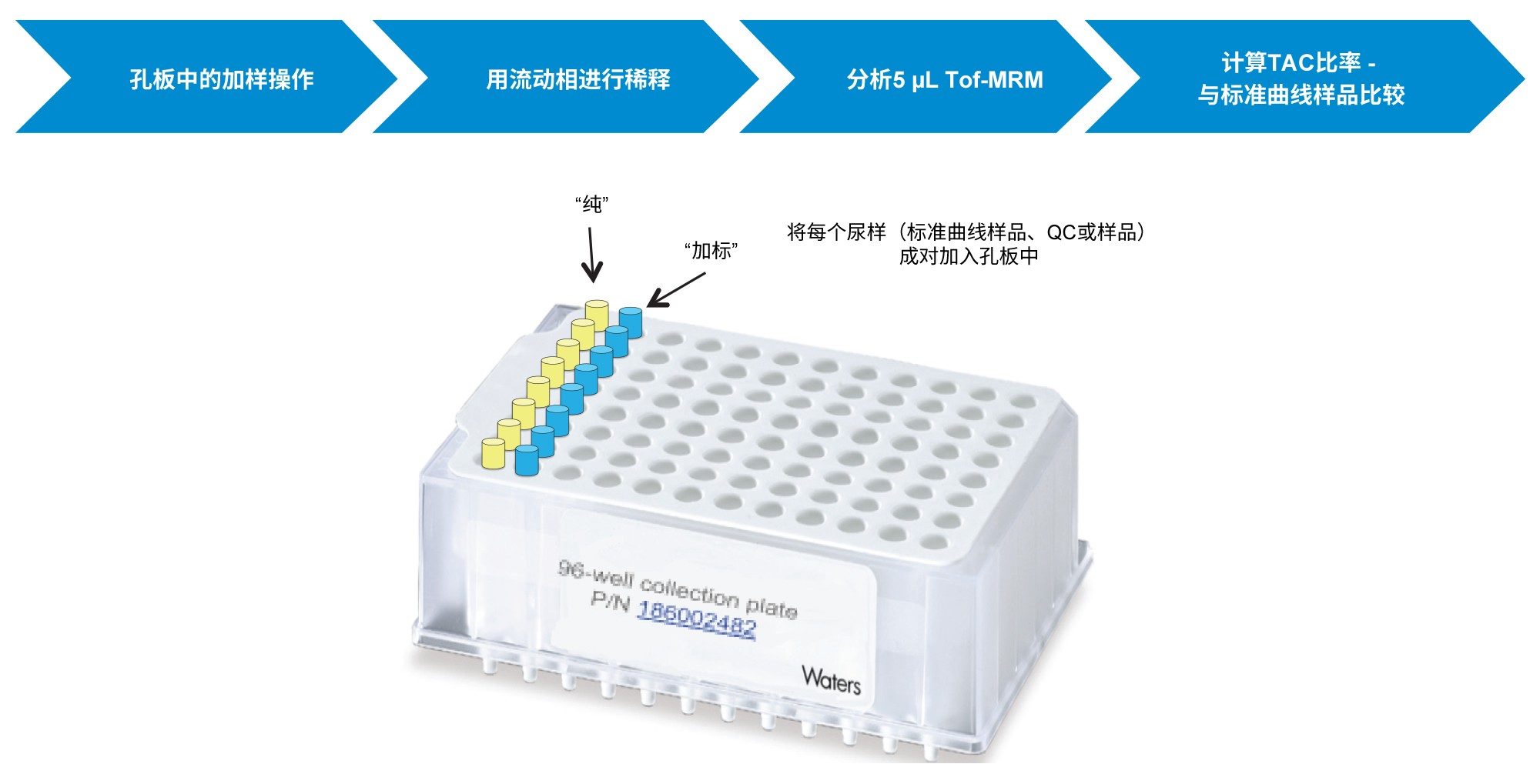 分析程序概要：在孔板内处理样品，然后进行Tof-MRM分析