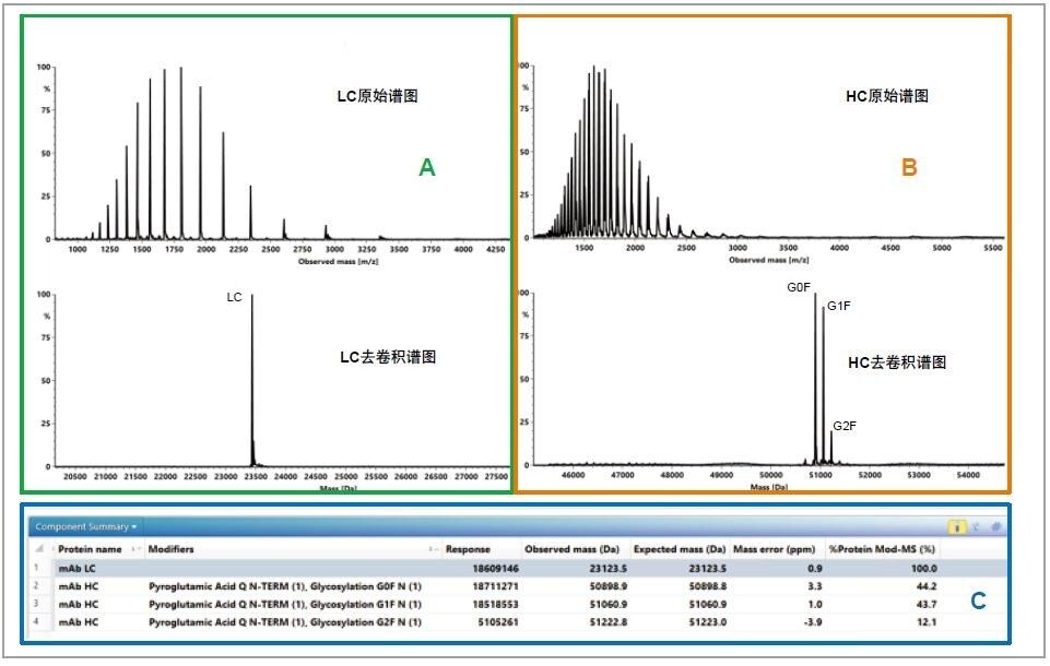 蛋白质变性SEC-MS分析所得NIST mAb LC (A)和HC (B)的累加原始谱图以及各自的去卷积谱图。组分汇总表(C)表明，自动鉴定的主LC和HC峰具有良好的质量精度。