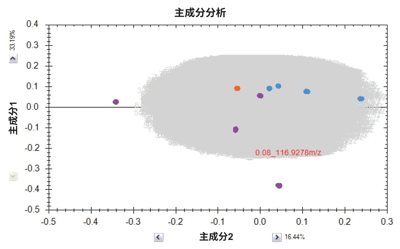 本研究的PCA得分图。