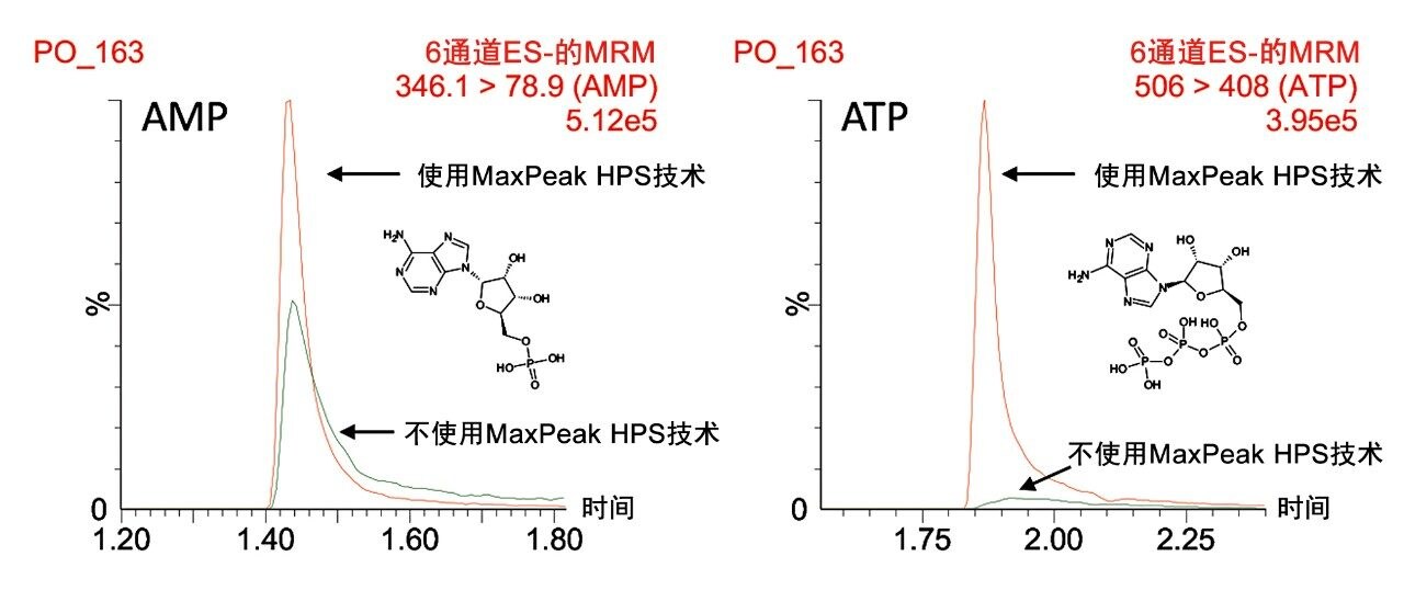 AMP和ATP的分离结果。