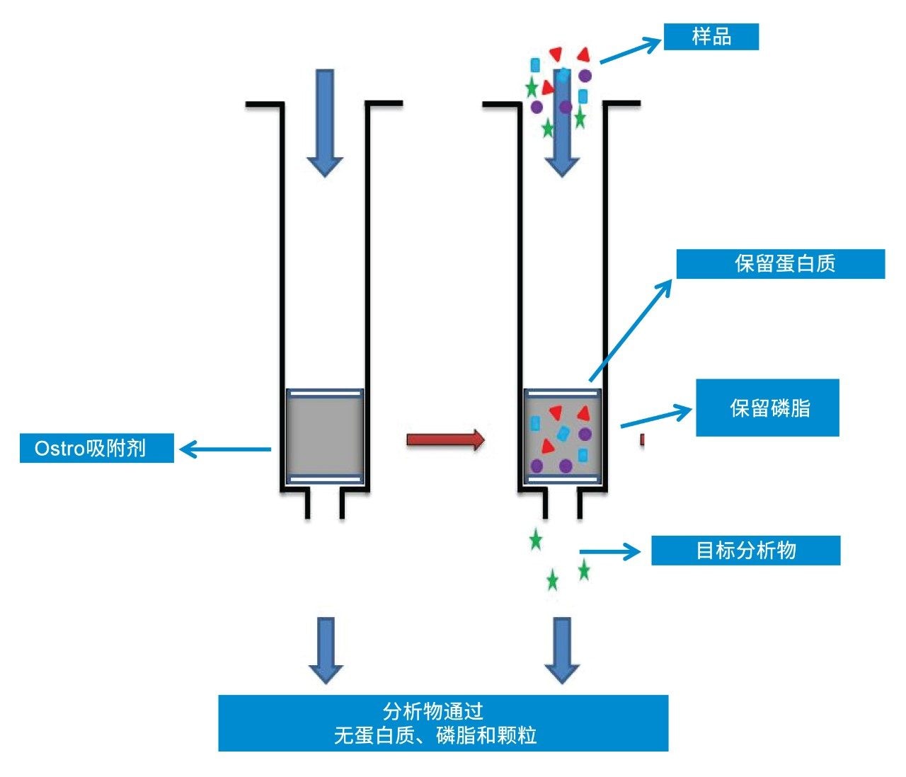 Ostro直通式样品制备萃取方案