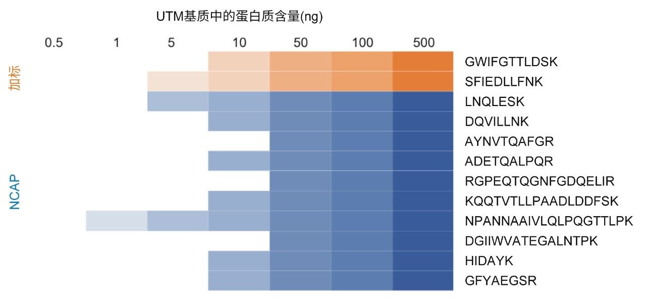 定量结果汇总