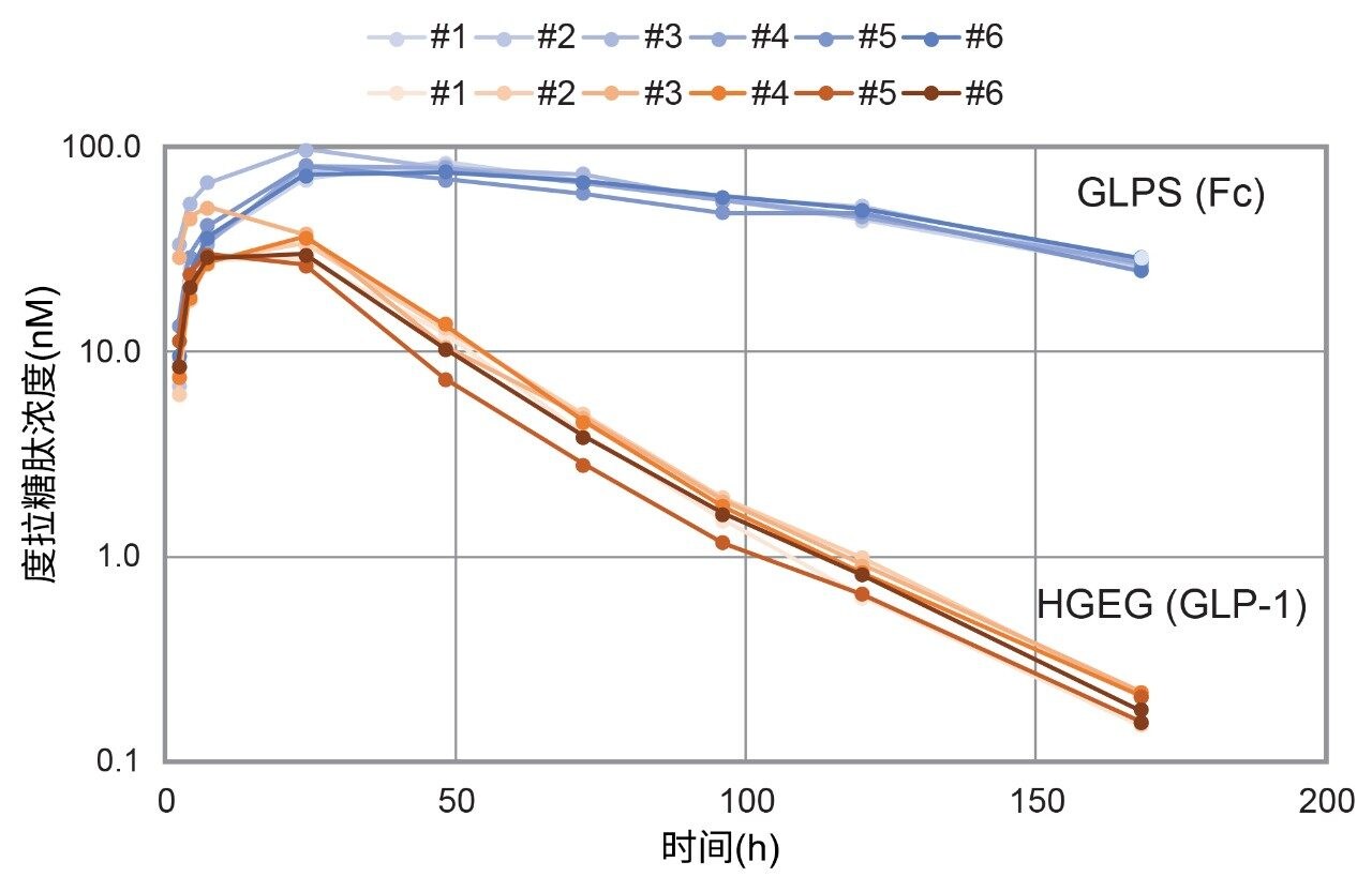 药代动力学特征