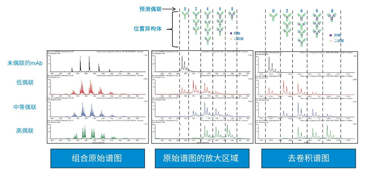 参比物质（裸mAb）以及低、中、高偶联水平的半胱氨酸偶联ADC样品的谱图对比