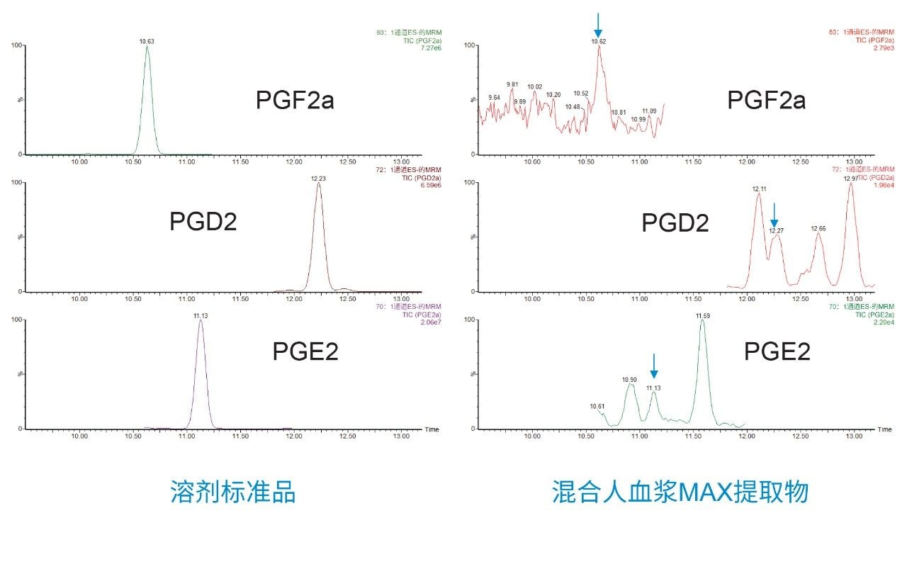 UPLC-MS/MS色谱图