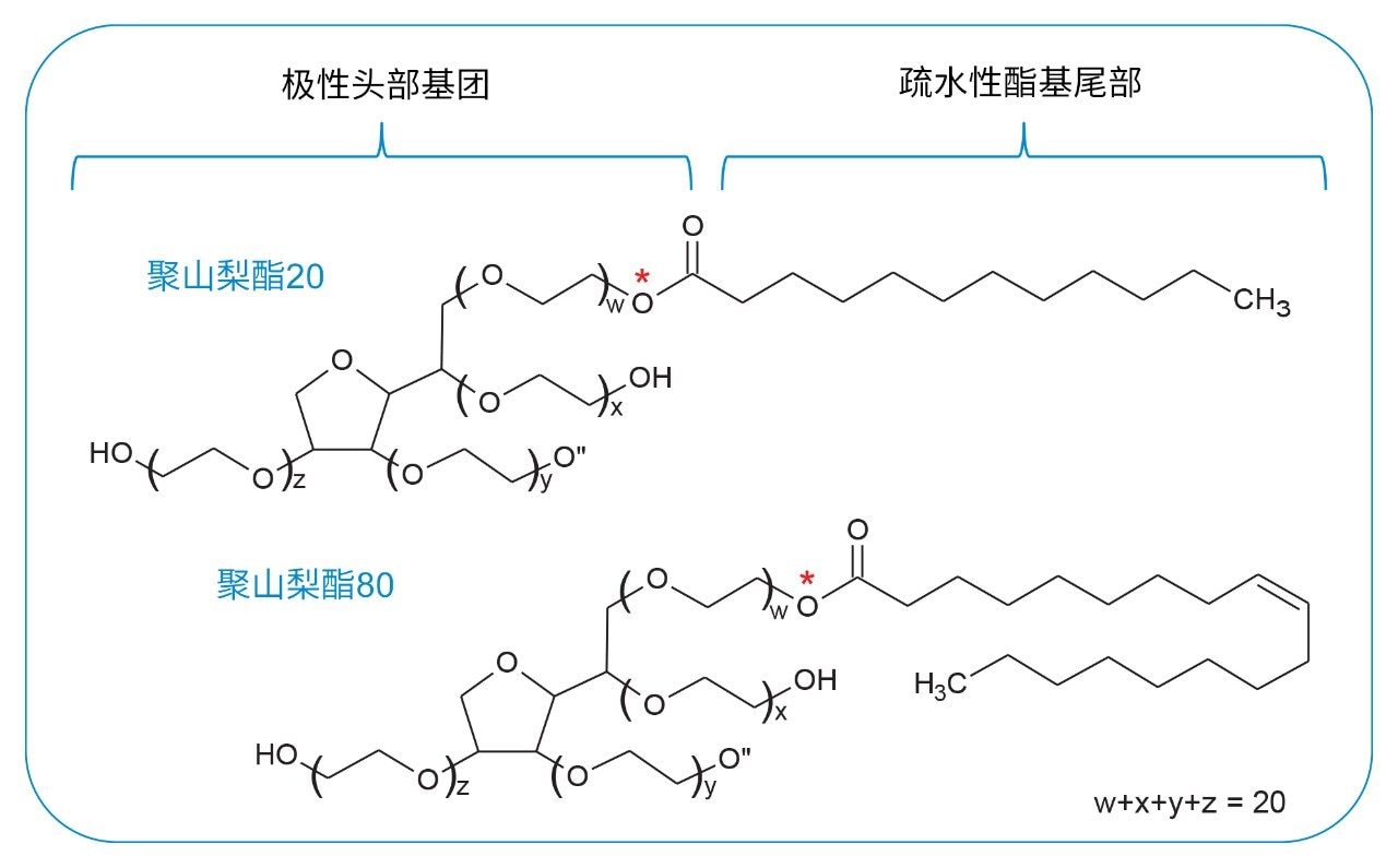 聚山梨酯的结构