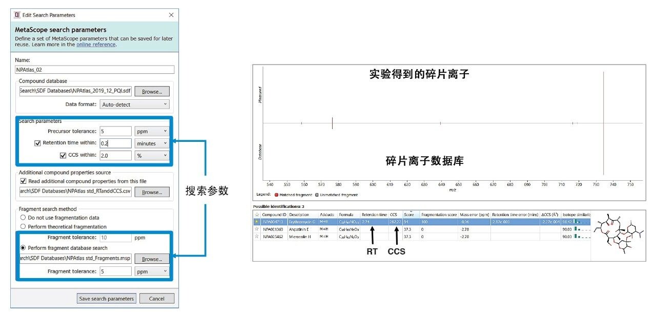 设置搜索参数并执行搜索。