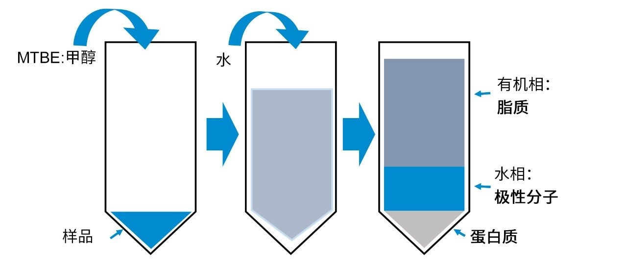 从生物基质中提取脂质和极性分子的MTBE萃取程序