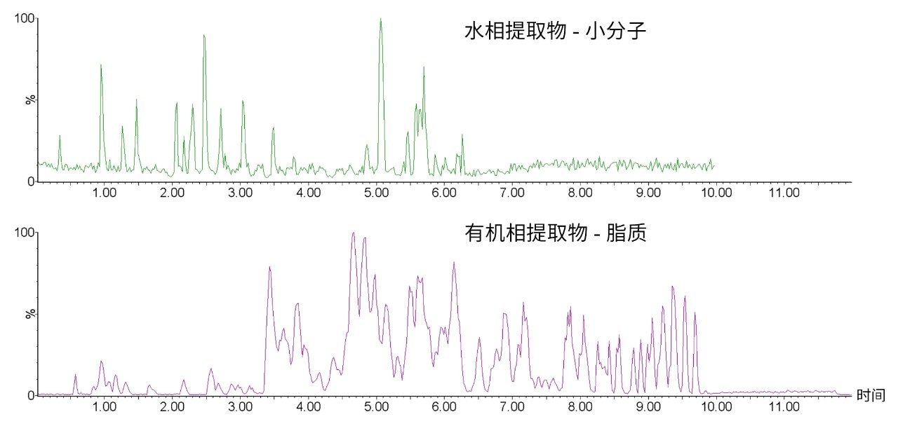 人痰液样本经MTBE萃取后所得水相和有机相的代表性色谱图