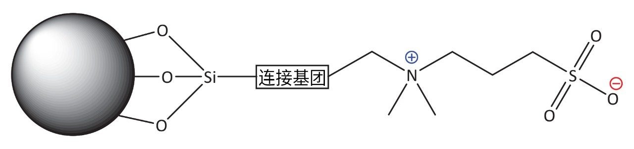 Atlantis BEH Z-HILIC磺基甜菜碱固定相的结构