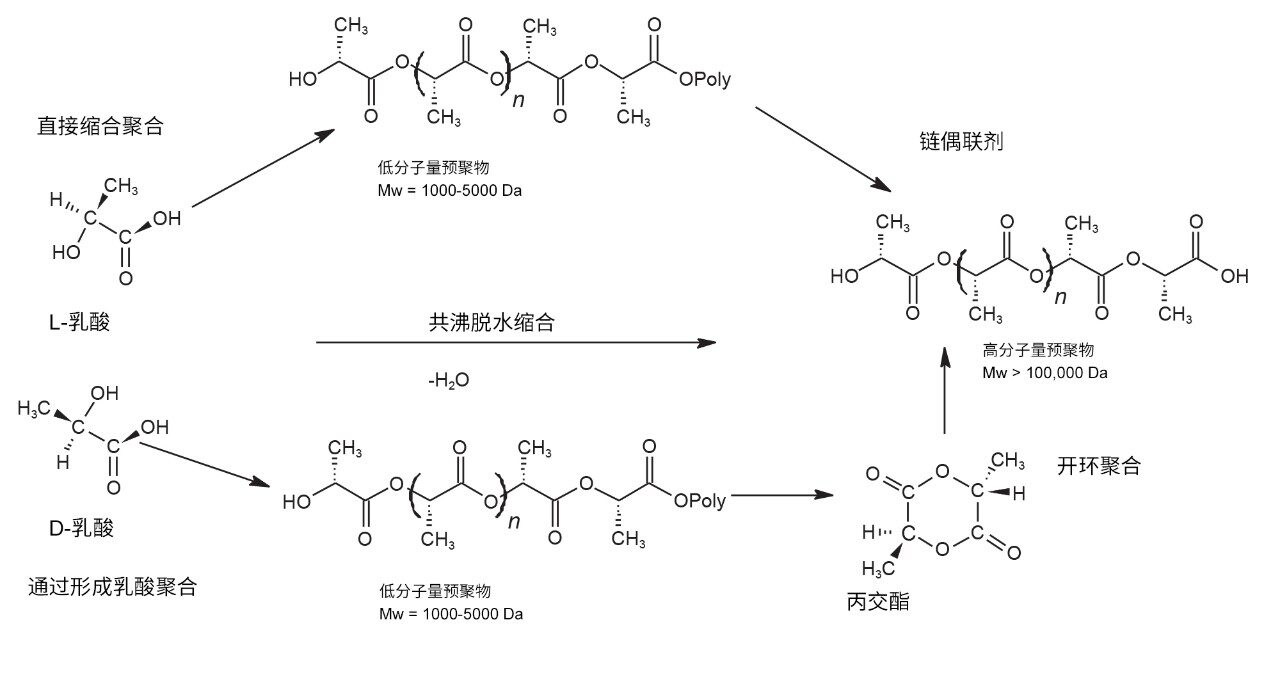 PLA聚合示意图