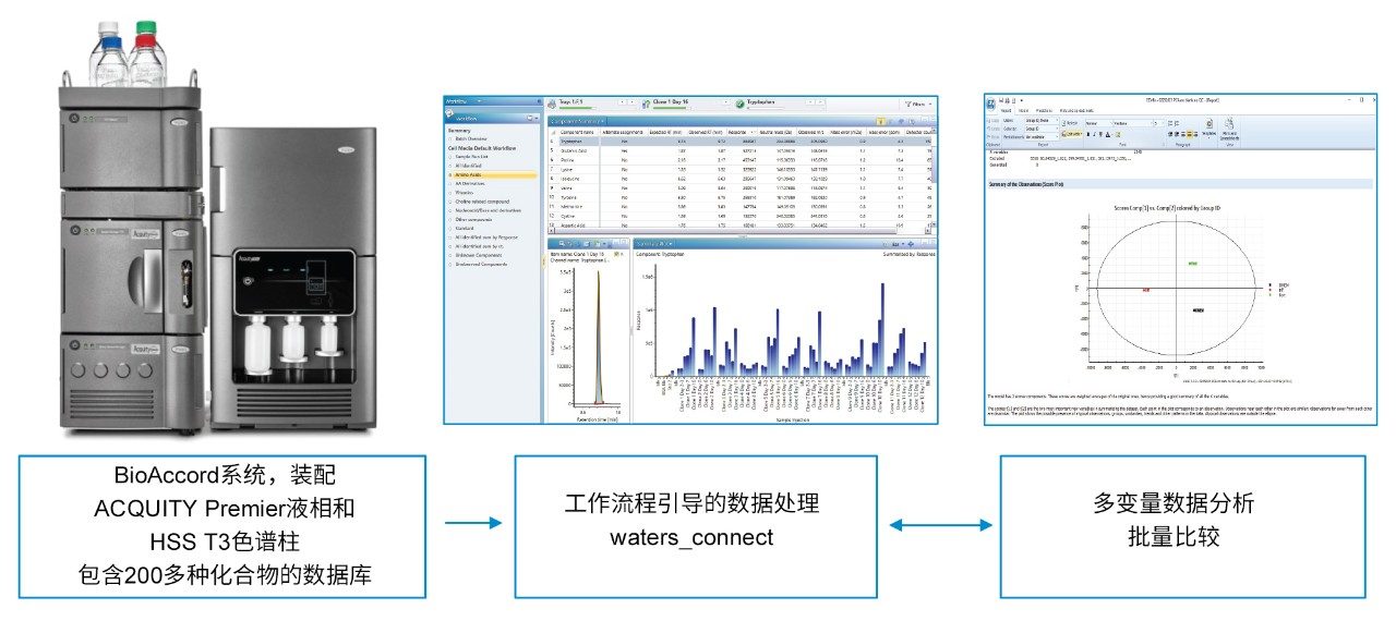 BioAccord/waters_connect细胞培养基分析工作流程示意图