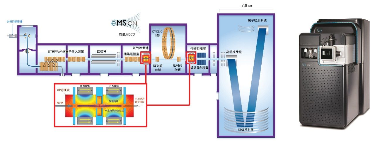 在IMS之前或之后安装有ECD的SELECT SERIES Cyclic IMS仪器配置