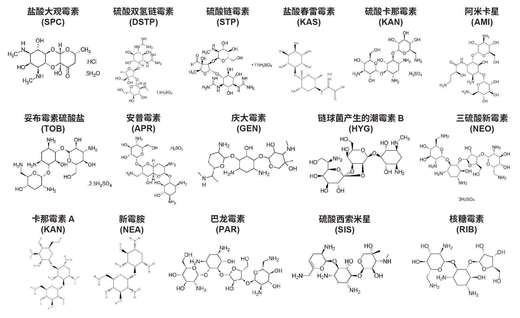 在本研究中检测的16种氨基糖苷类抗生素的化学结构