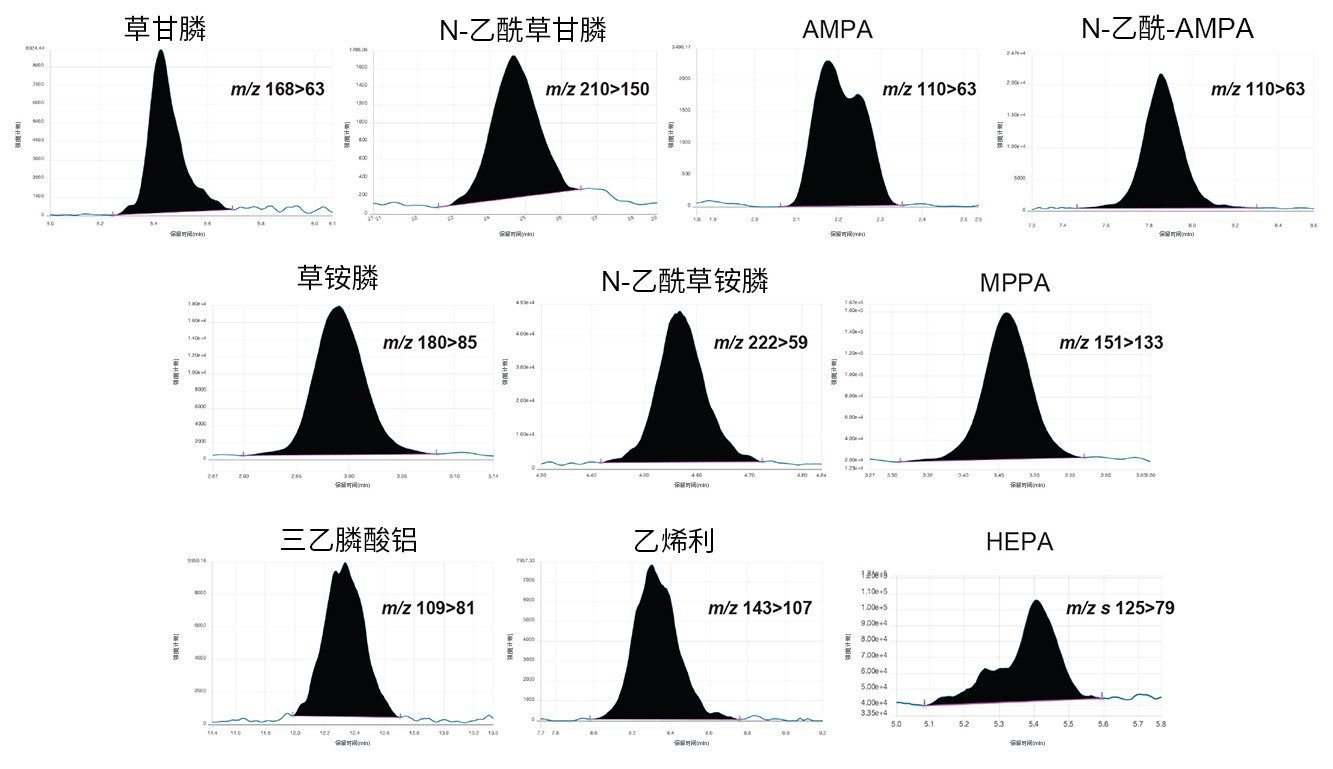 分析1 µg/kg（瓶内浓度0.5 ng/mL）黄瓜基质标准品获得的阴离子型极性农药及代谢物色谱图