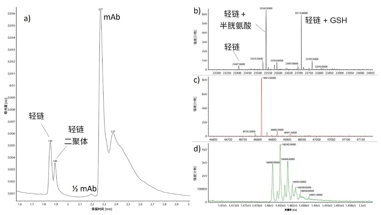 图1.细胞培养物经过离心和过滤后通过LC-MS分析观察到的主要物质的UV色谱图(a)和去卷积质谱图。从图中可以看出，轻链包含几种修饰形式(b)，其中C-端半胱氨酸的半胱胺酰化和谷胱甘肽化尤为显著。还展示了轻链二聚体(c)和完整单克隆抗体(d)的去卷积质谱图。