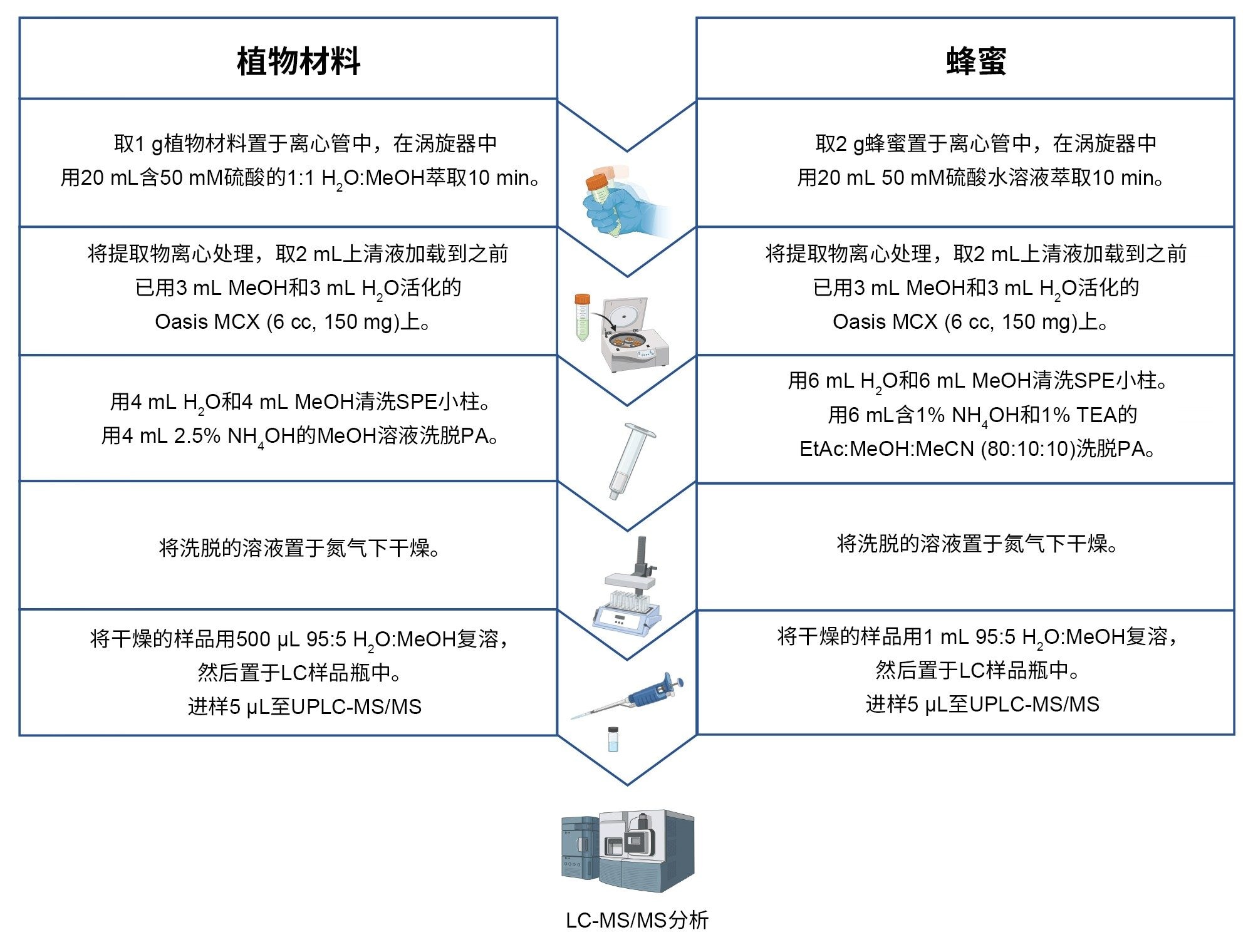 样品前处理方案。