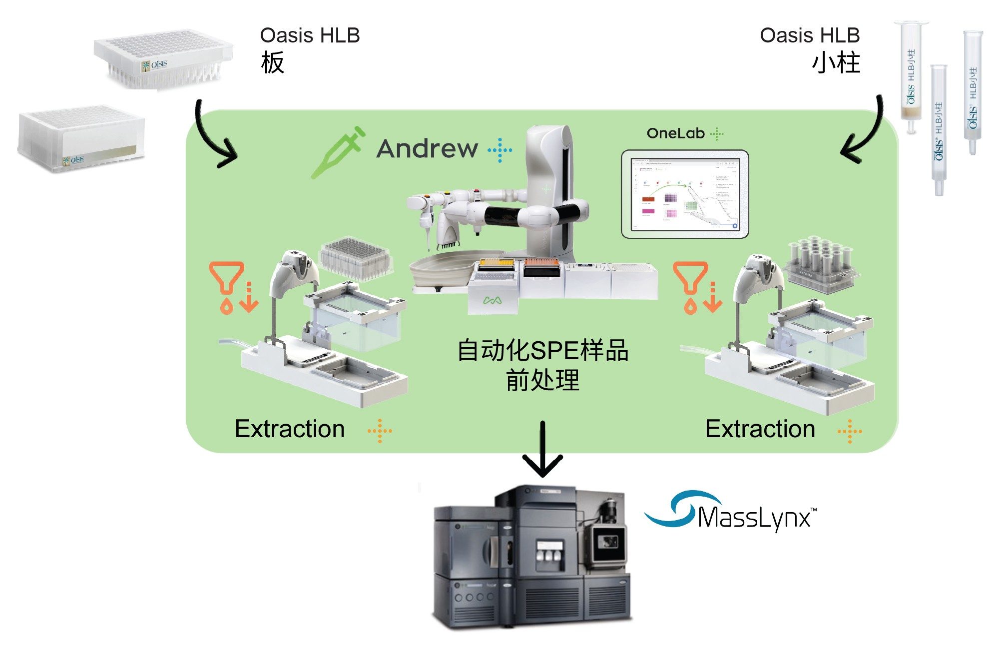 自动化SPE样品萃取和LC-MS分析工作流程图示