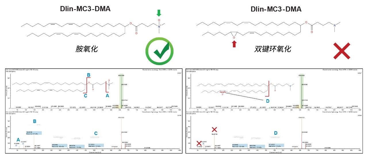 Dlin-MC3-DMA分子上的氧化定位。两个结构都显示了可能的氧化位置，包括（左）极性头基胺基的氧化和（右）脂肪酸链中两个双键其中一个的环氧化