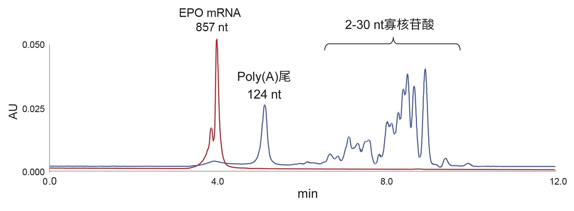 使用核糖核酸酶T1酶解857 nt EPO mRNA（红色色谱图）