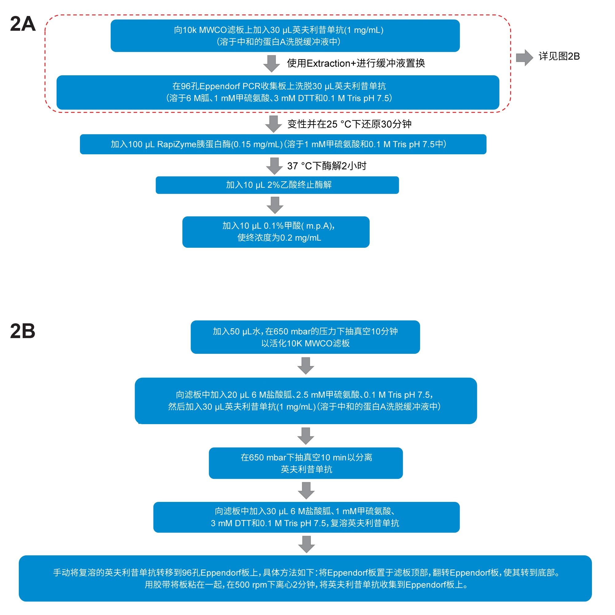  A. 使用Andrew+自动化平台的通用酶解程序；B. 缓冲液置换的详细步骤。